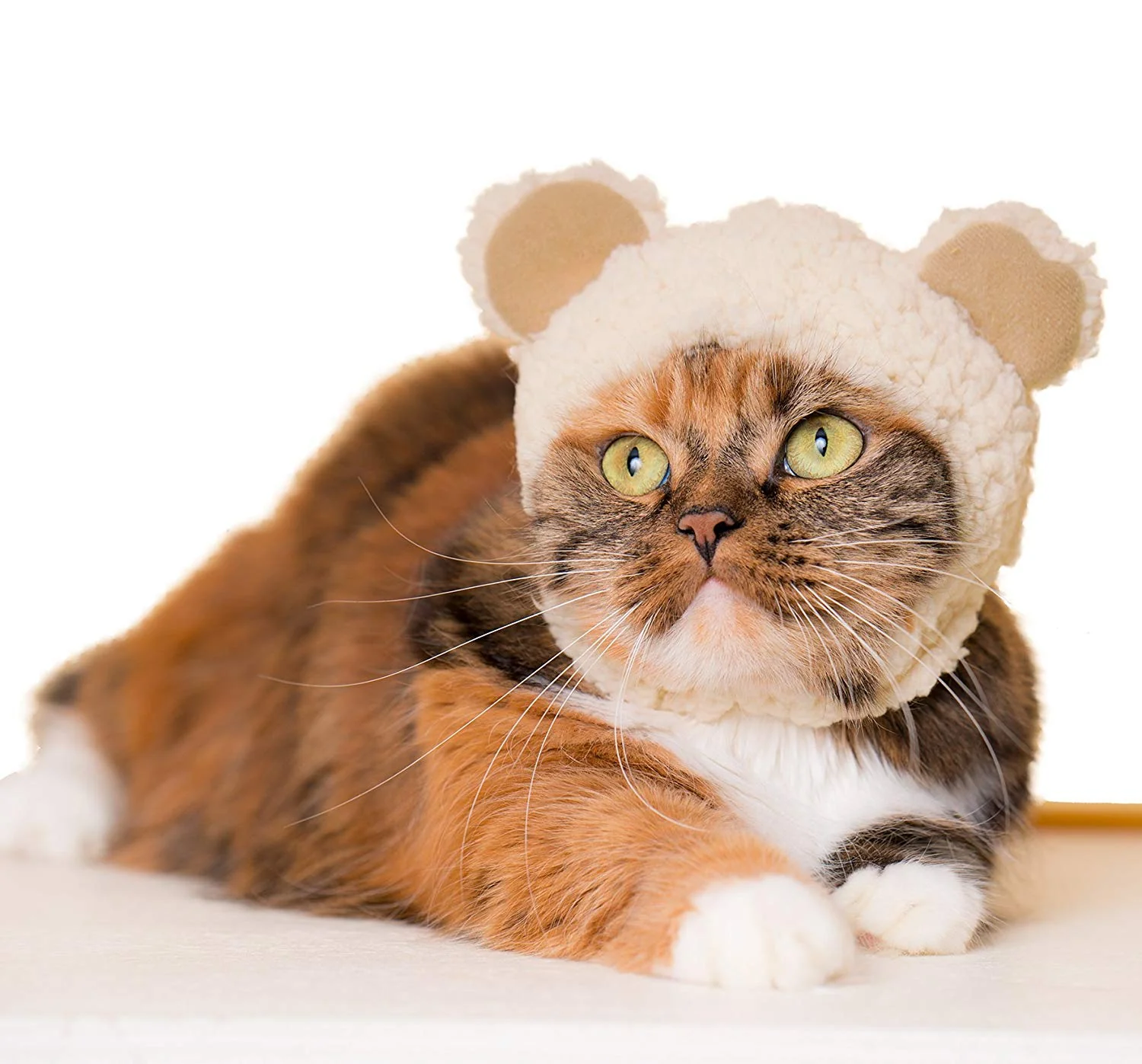 Bear Cap for Cats (Surprise Box) - Image 4