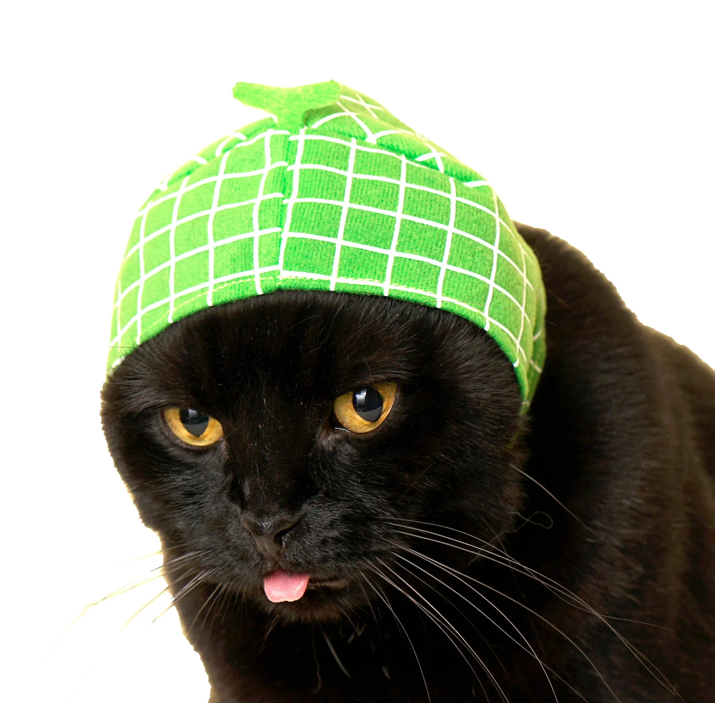 Bear Cap for Cats (Surprise Box) - Image 5