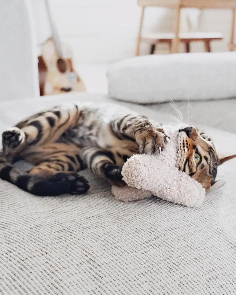 Kitty Breuer Crinkly Catnip Toy - Image 2