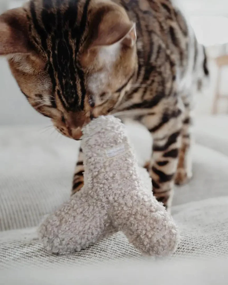 Kitty Breuer Crinkly Catnip Toy - Image 6