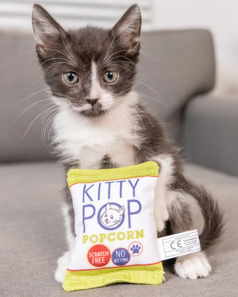 Kitty Pop Crinkle Plush Cat Toy w/ Catnip - Image 2