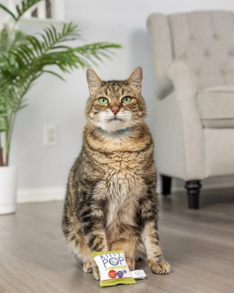 Kitty Pop Crinkle Plush Cat Toy w/ Catnip - Image 4
