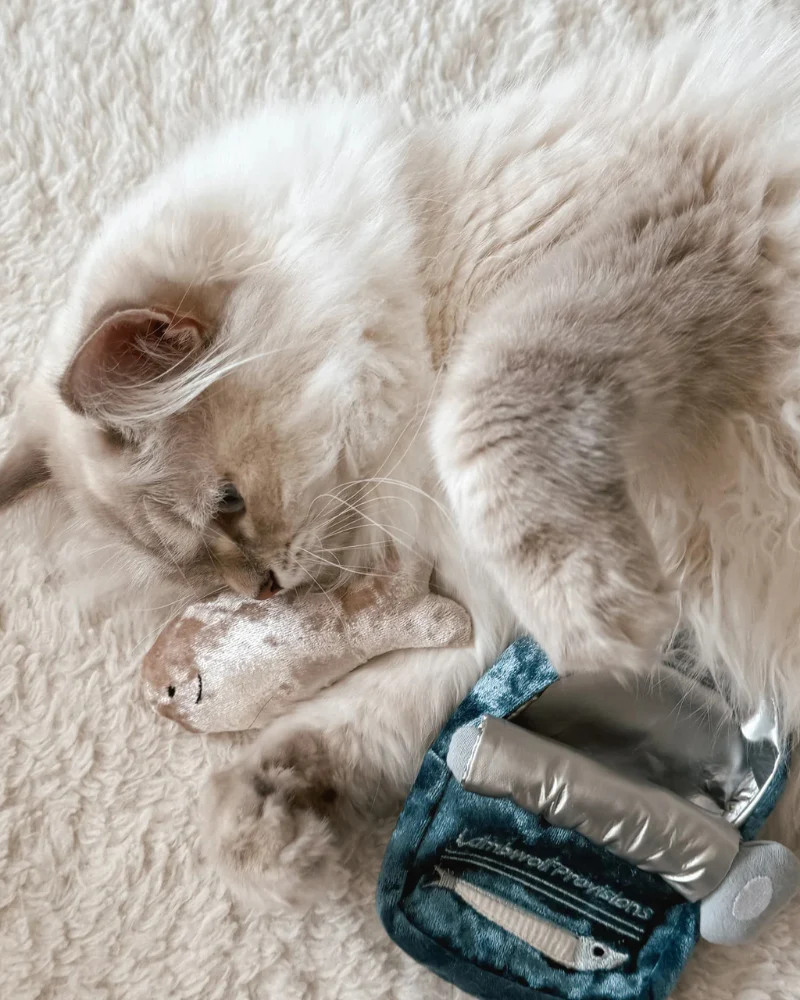 Kitty Sardines Snuffle Cat Toy - Image 4