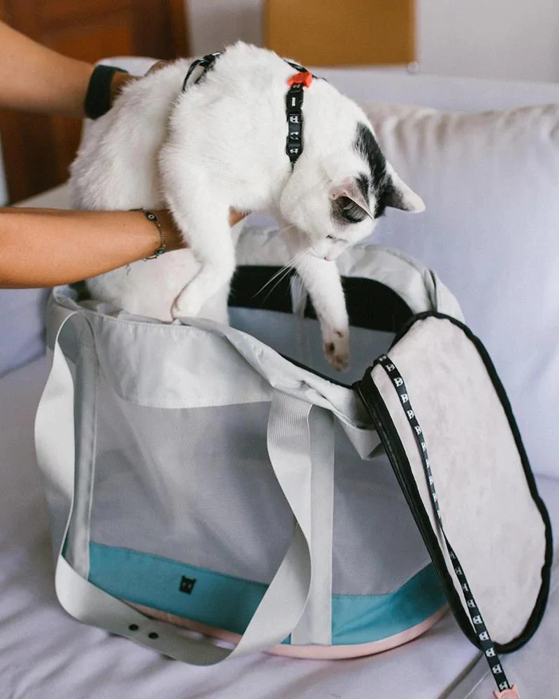 KOMBUCHA Pet Carrier Bag - Image 6