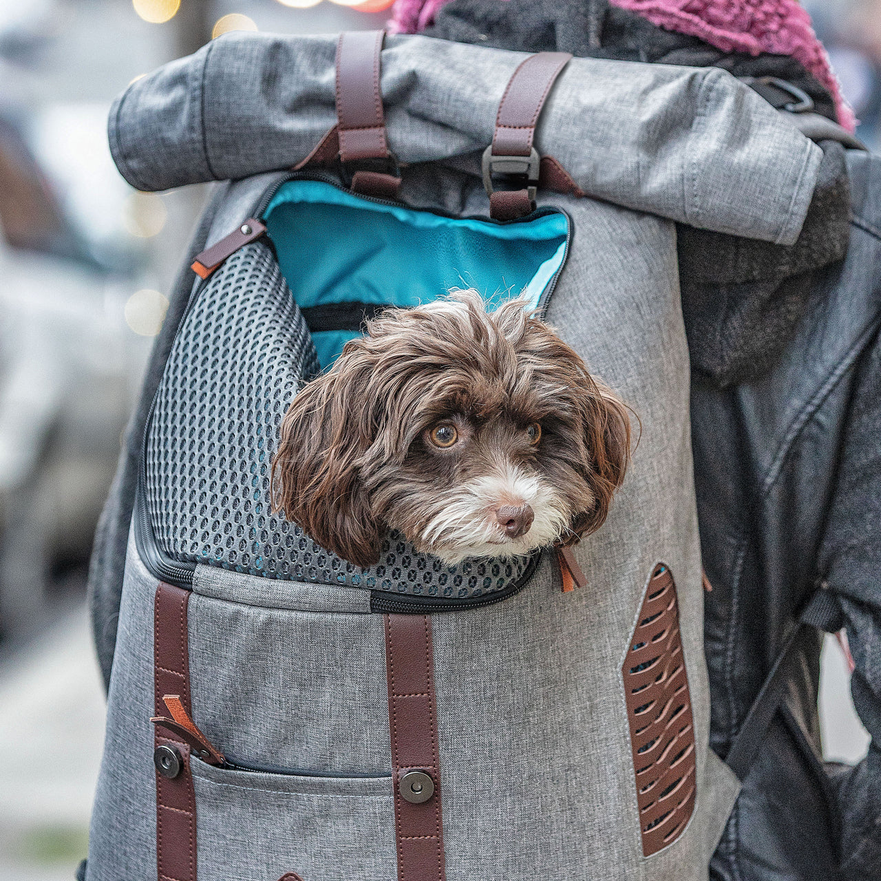 KURGO | Rucksack Backpack - Image 2
