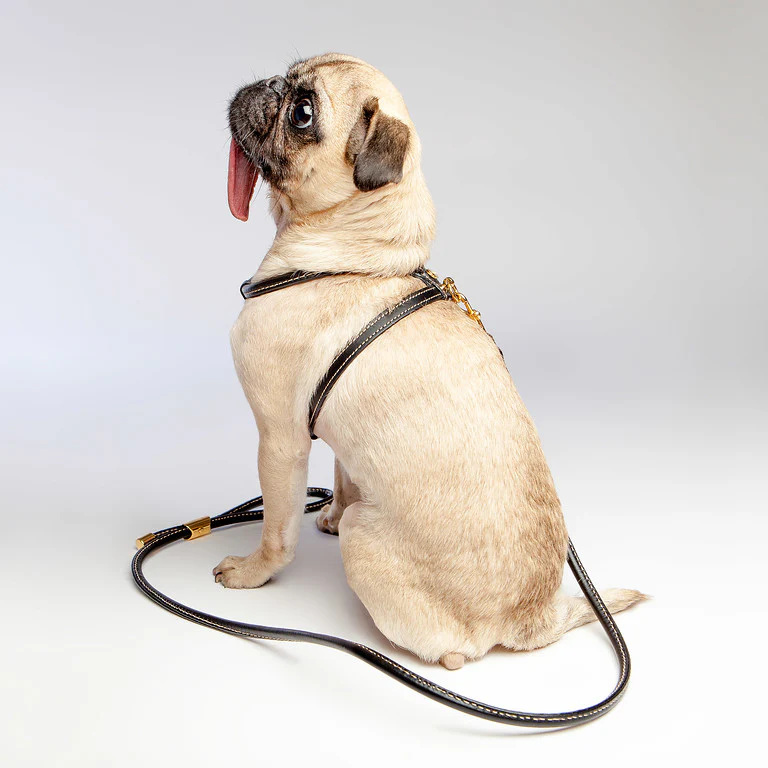 Italian Leather Dog Harness in Classic Black - Image 3