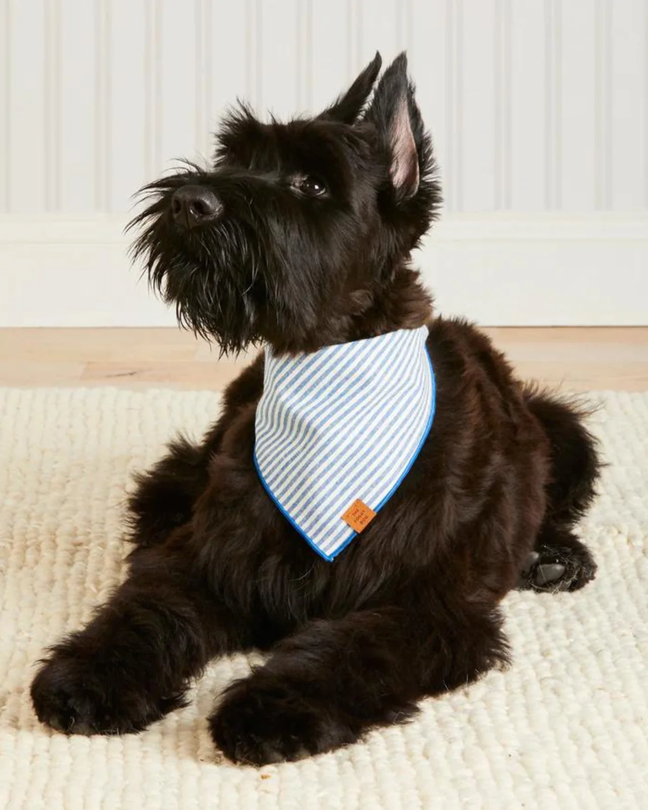 Lake Blue Stripe Spring Dog Bandana (Made in the USA)
