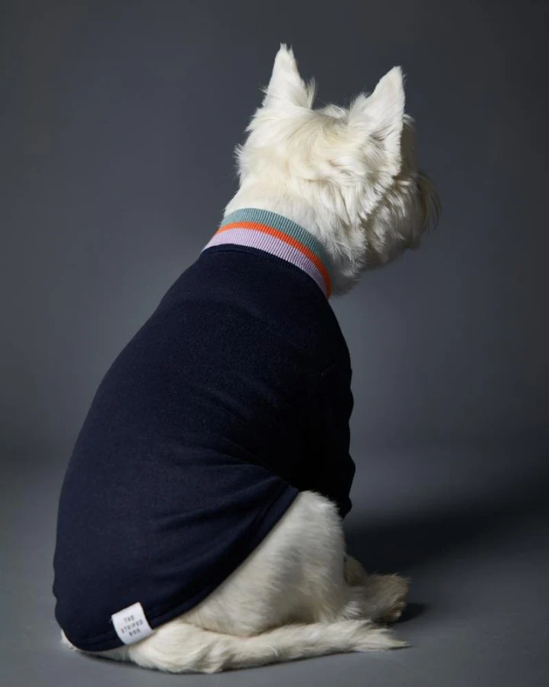 Lakewood Navy Pullover Dog Sweater With Striped Neckline & Cuffs (CLEARANCE) - Image 2