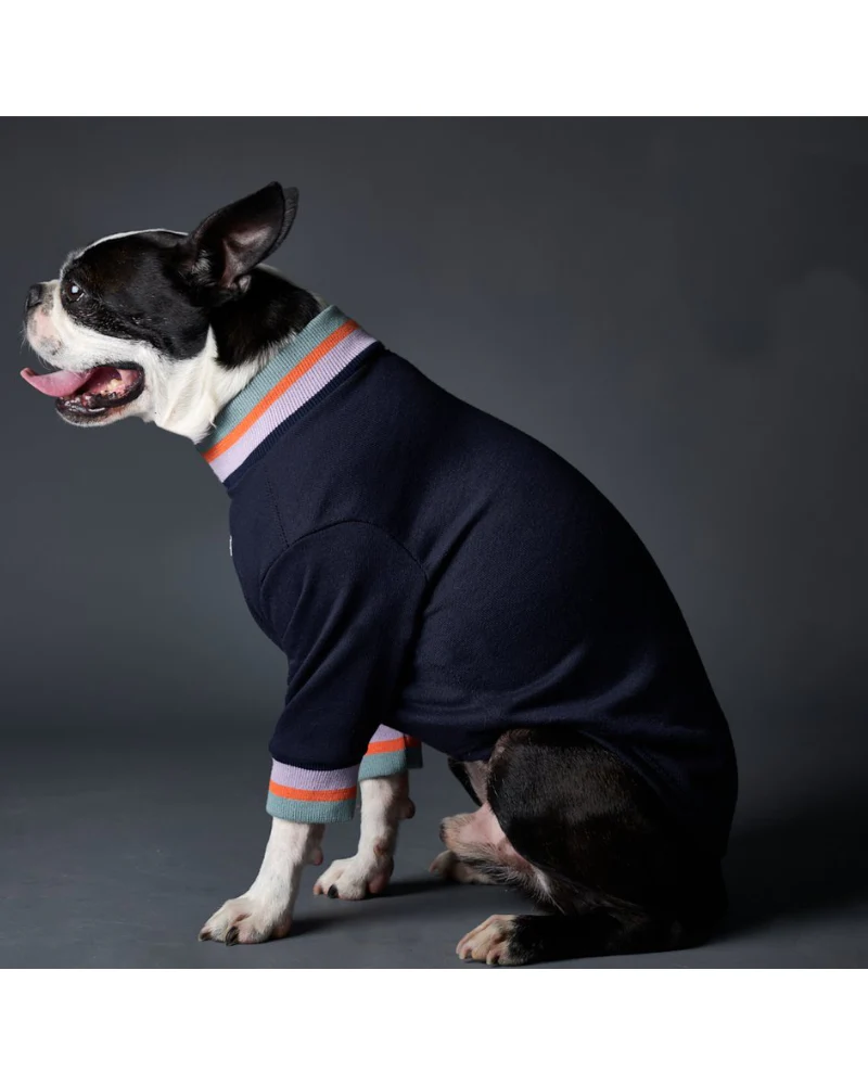 Lakewood Navy Pullover Dog Sweater With Striped Neckline & Cuffs (CLEARANCE) - Image 3