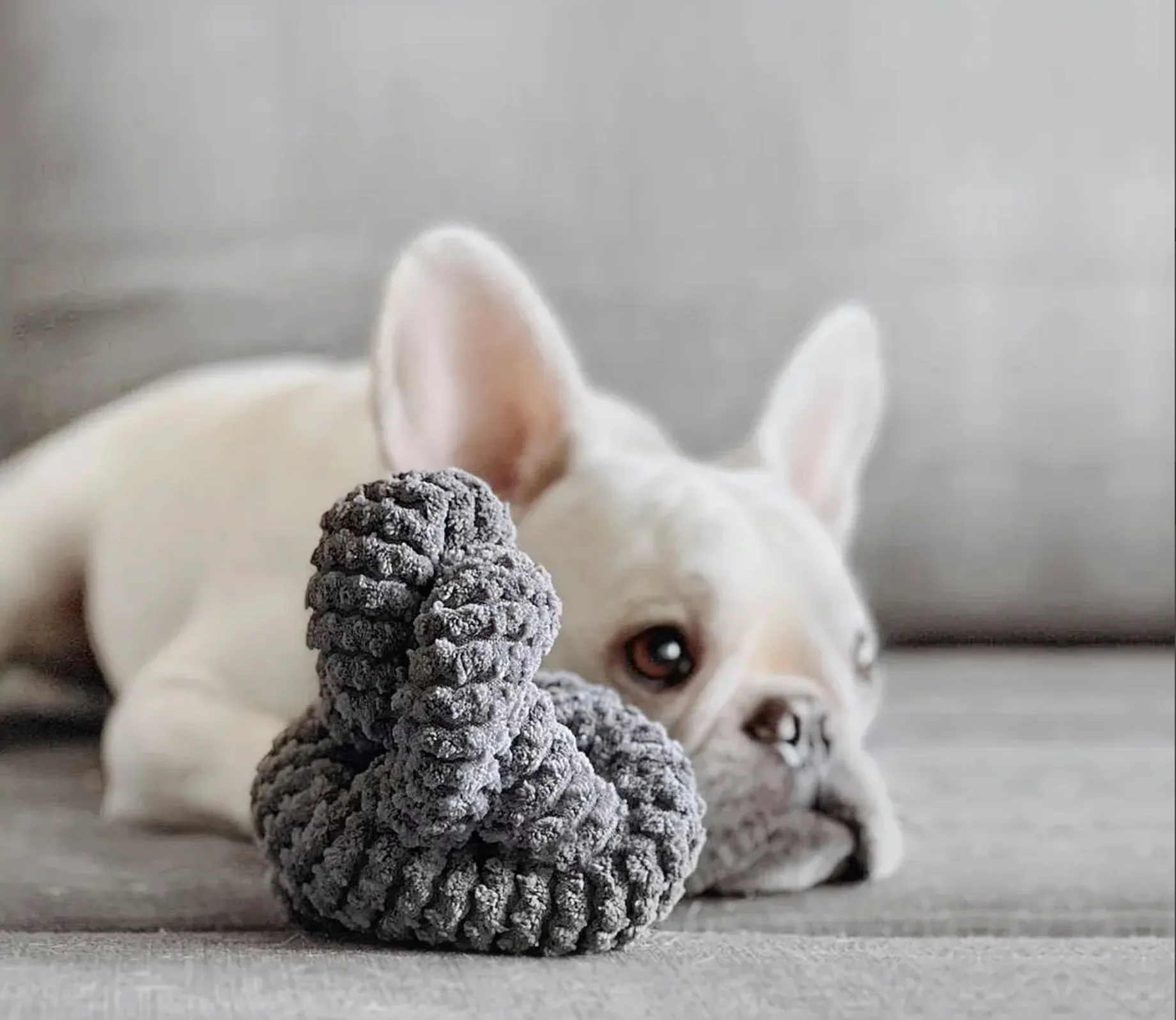 NouNouNou Interactive Dog Toy in Corduroy Slate - Image 4