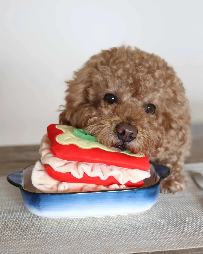 Lasagna Nosework Dog Toy - Image 5