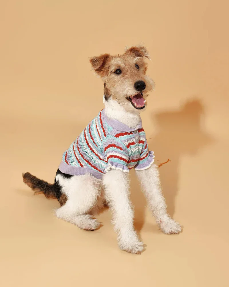 Lavender Ruffle Sleeve Crochet Shirt for Dogs - Image 2