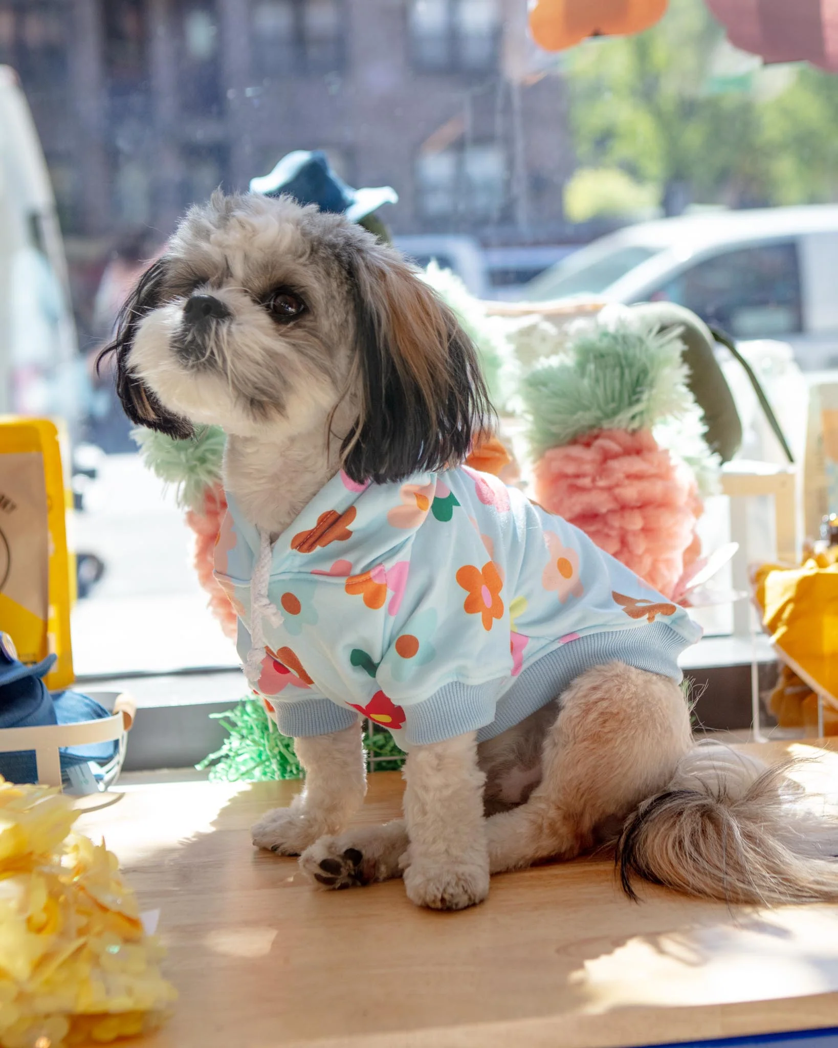 Le Fleur Dog Hoodie (FINAL SALE)