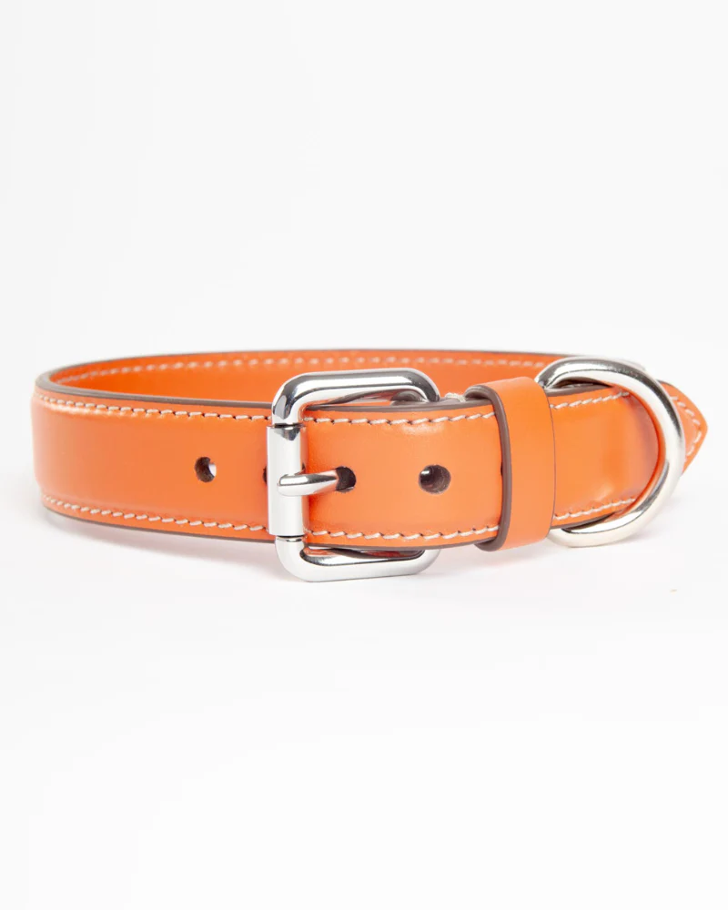 Leather Dog Collar in Orange (Made in Italy)