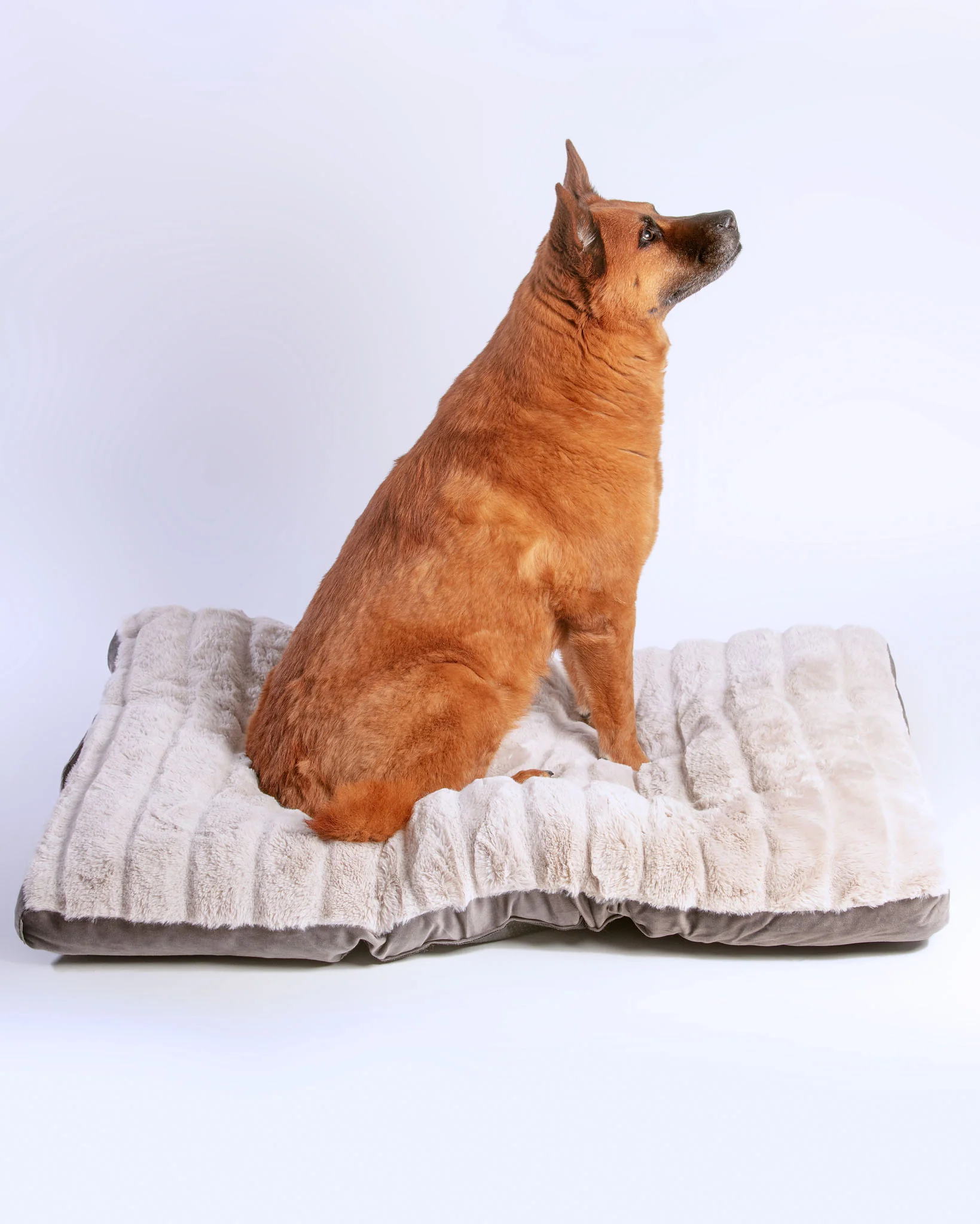 Dutch Velvet & Plush Essential Mat in Grey << FINAL SALE >>