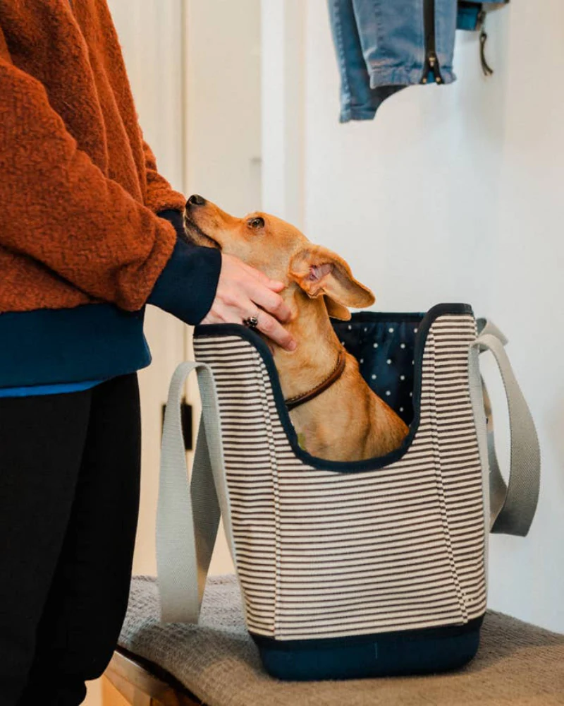 Navy Striped Canvas Dog Carrier (FINAL SALE) - Image 3