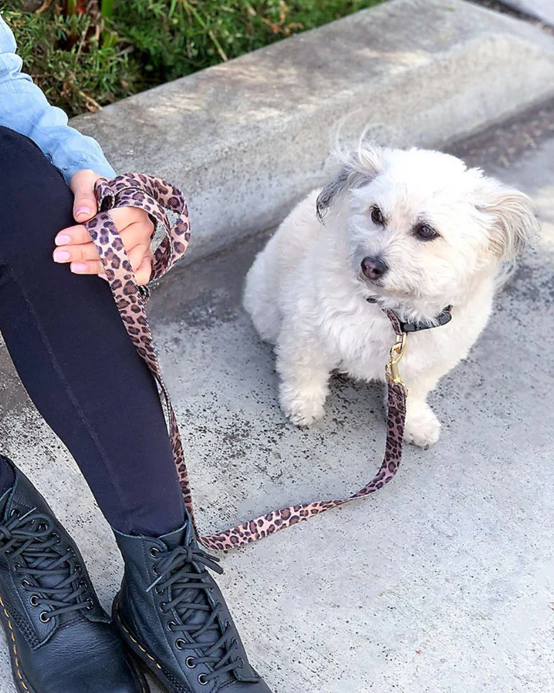 Leopard Adjustable Dog Harness (FINAL SALE) - Image 2