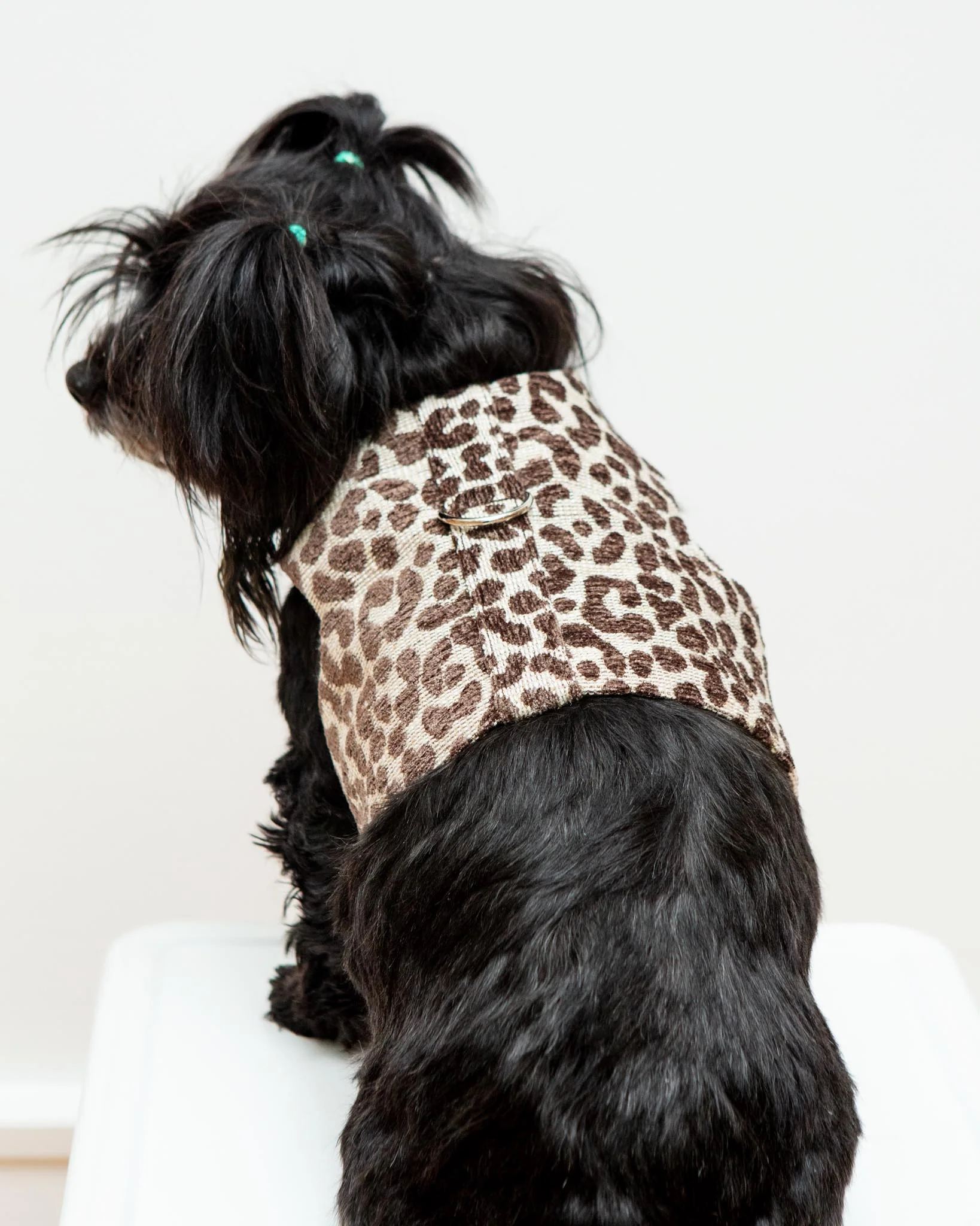 Leopard Print Dog Harness (Made in the USA) - Image 2