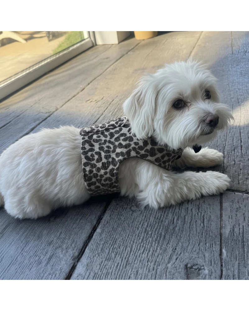Leopard Print Dog Harness (Made in the USA) - Image 5
