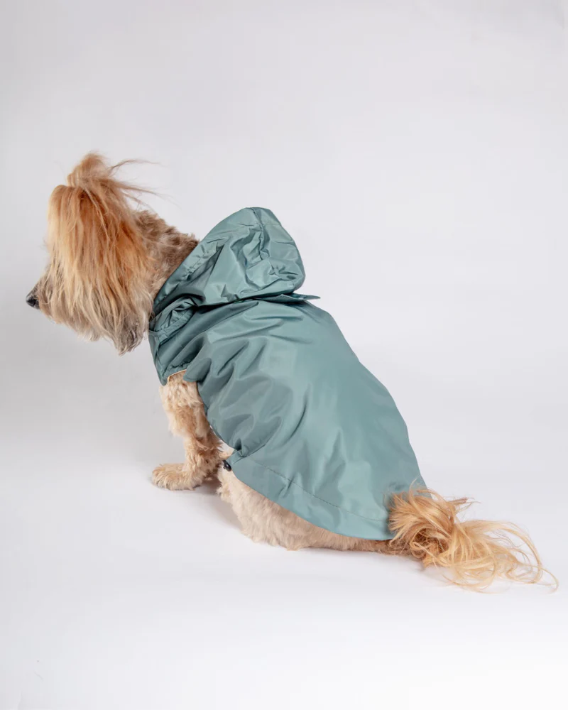 Life Dog Raincoat in Sandstone - Image 10