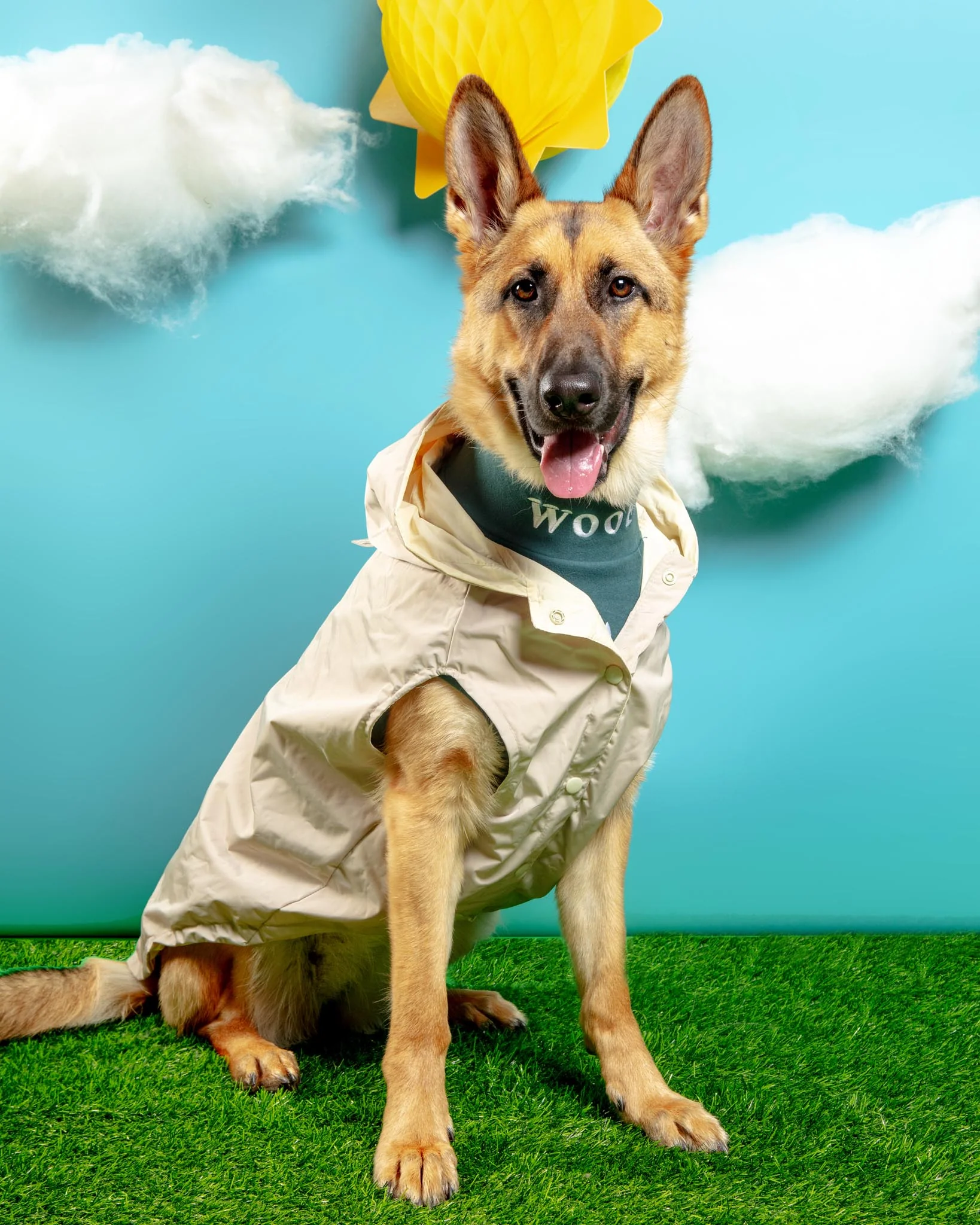 Life Dog Raincoat in Sandstone - Image 11