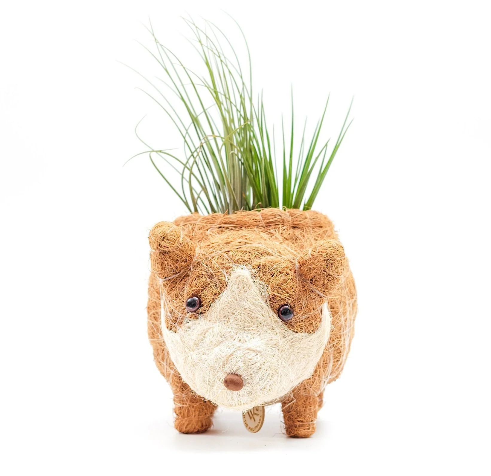 LIKHA | Carlito the Corgi Planter - Image 2