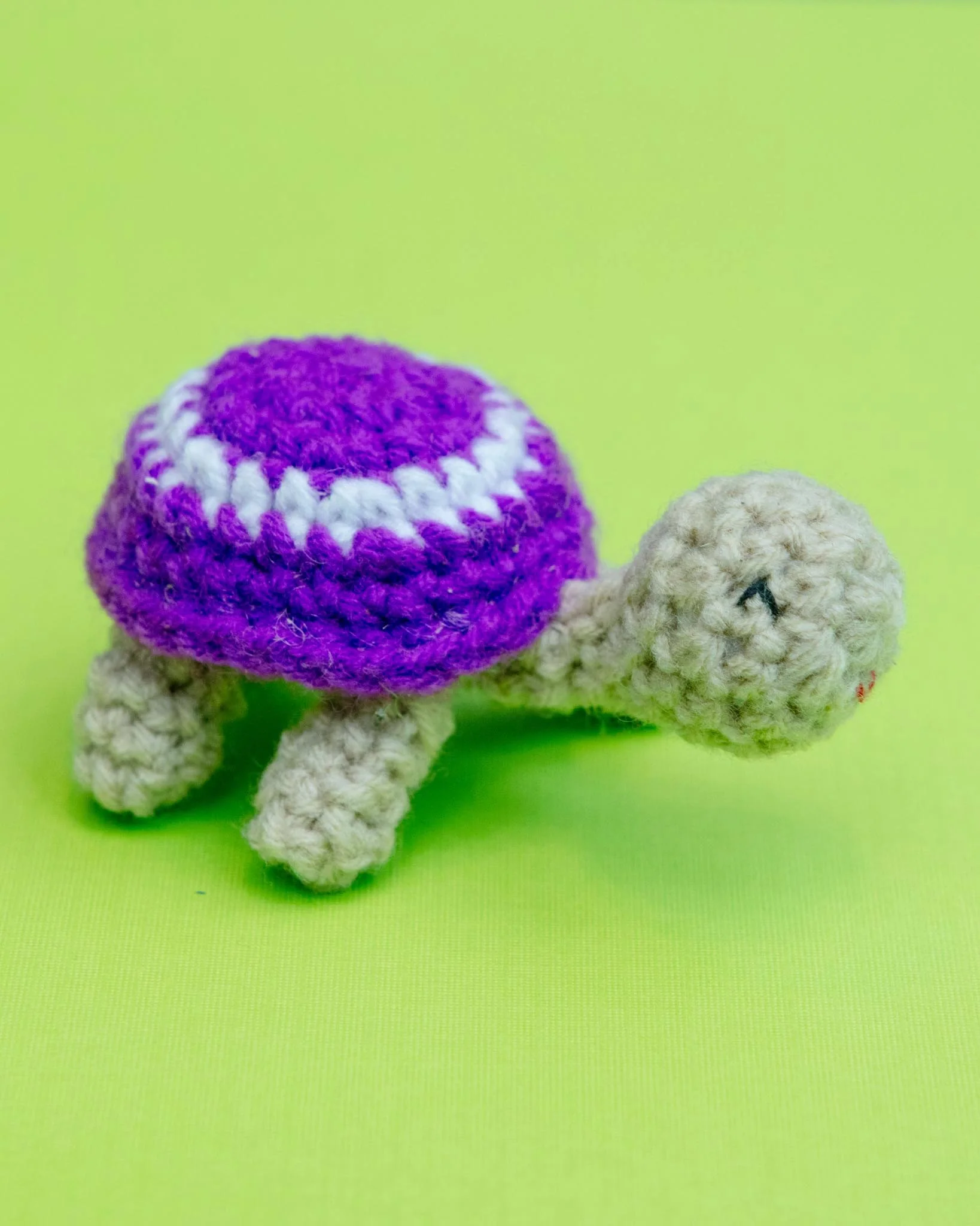 Lil' Turtle Catnip Toy - Image 2