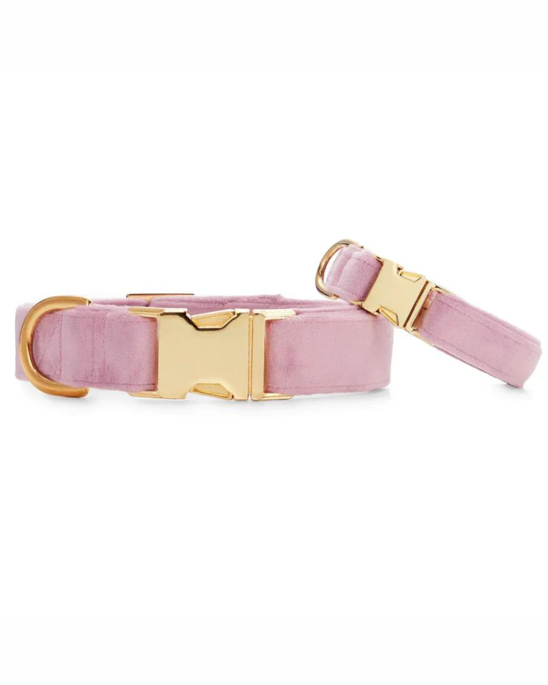 Lilac Velvet Dog Collar (Made in the USA) (FINAL SALE) - Image 3