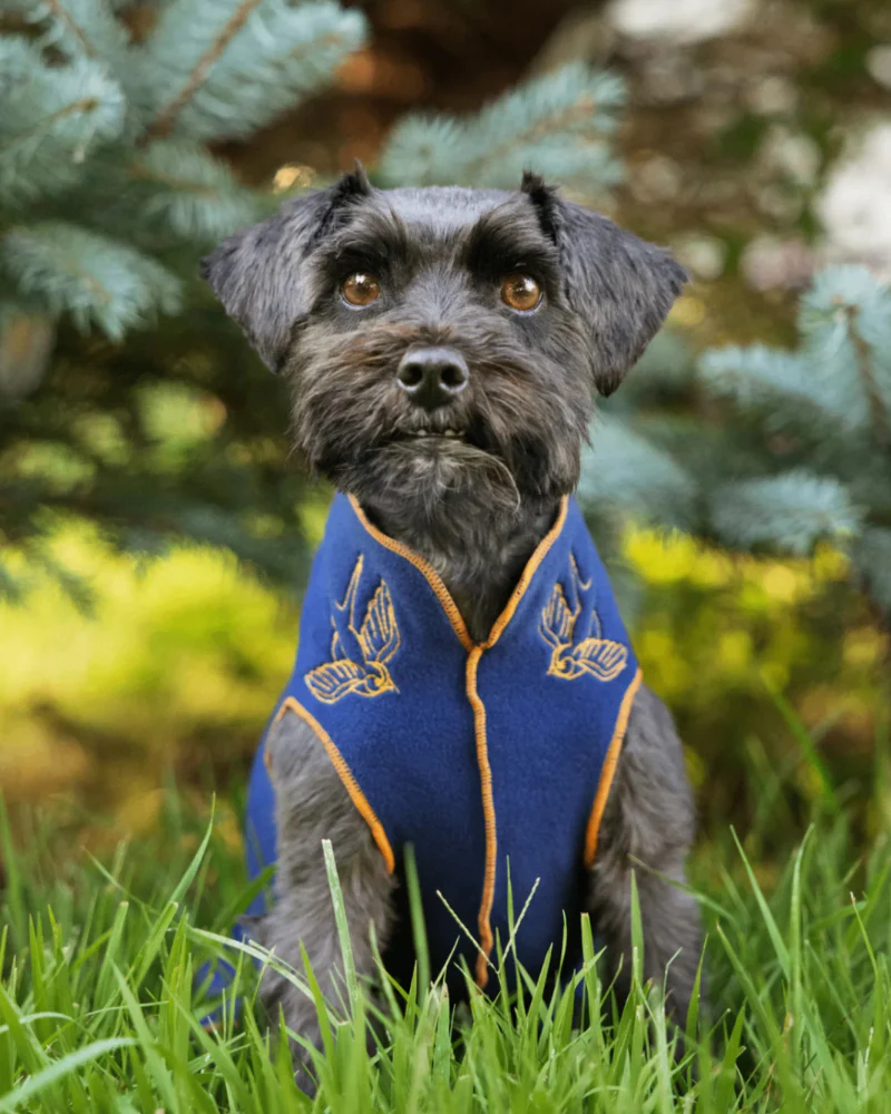 Limited Edition Embroidered Stretch Dog Fleece (Made in the USA) (FINAL SALE) - Image 6