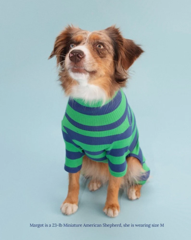 Martian Green + Navy Stripe Ribbed Onesie (FINAL SALE) - Image 3