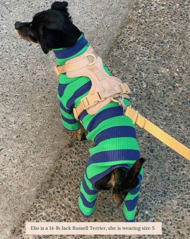 Martian Green + Navy Stripe Ribbed Onesie (FINAL SALE) - Image 4
