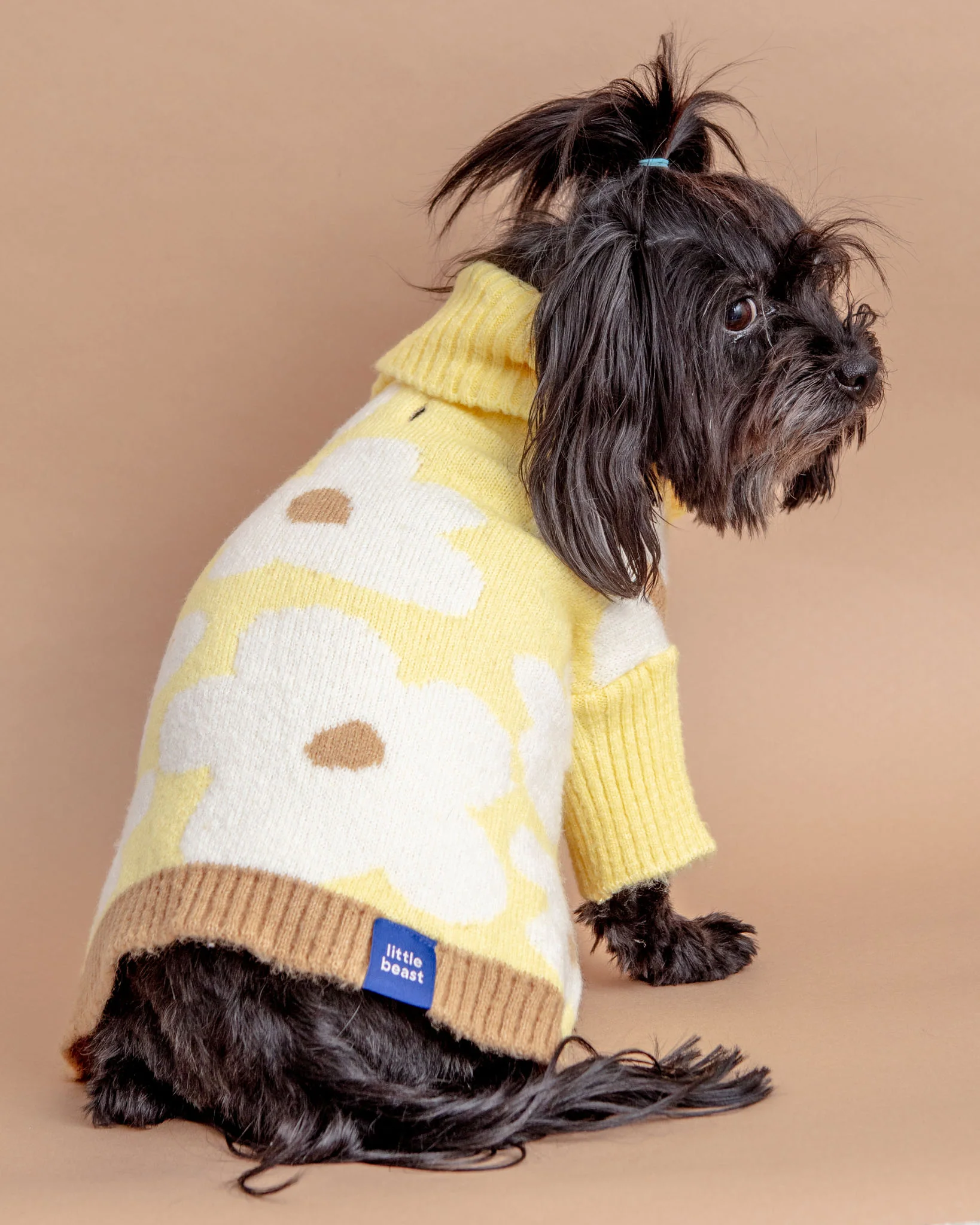 Sunny Side Dog Sweater (FINAL SALE) - Image 2