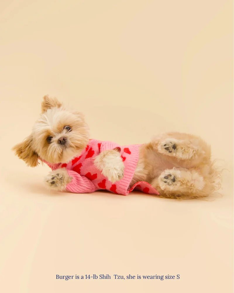 "The Love" Dog Sweater (FINAL SALE) - Image 4