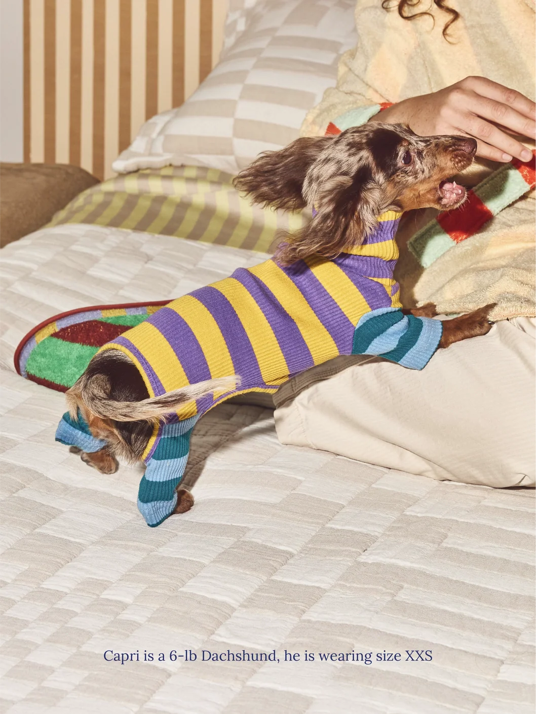 Little Beast X Dusen Dusen | Macaroni Dog Onesie (FINAL SALE) - Image 4