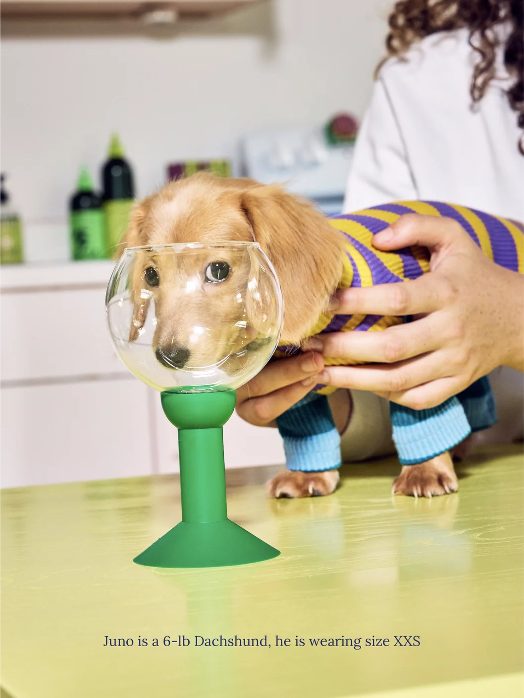 Little Beast X Dusen Dusen | Macaroni Dog Onesie (FINAL SALE) - Image 5