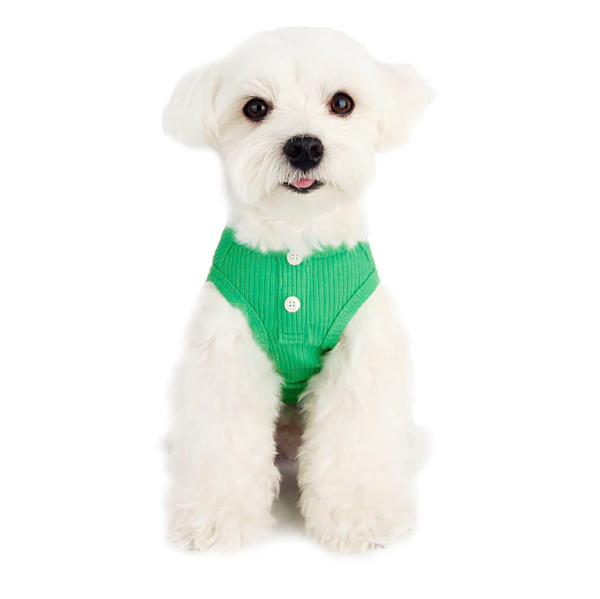 LITTLE COLLIN | Basic Button All-in-One in Soft Green - Image 2