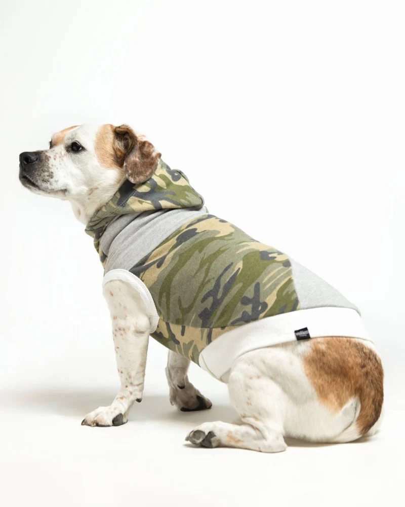 The Cadet Cotton Camo Hoodie for Long Dogs (Made in the USA) << FINAL SALE >> - Image 4