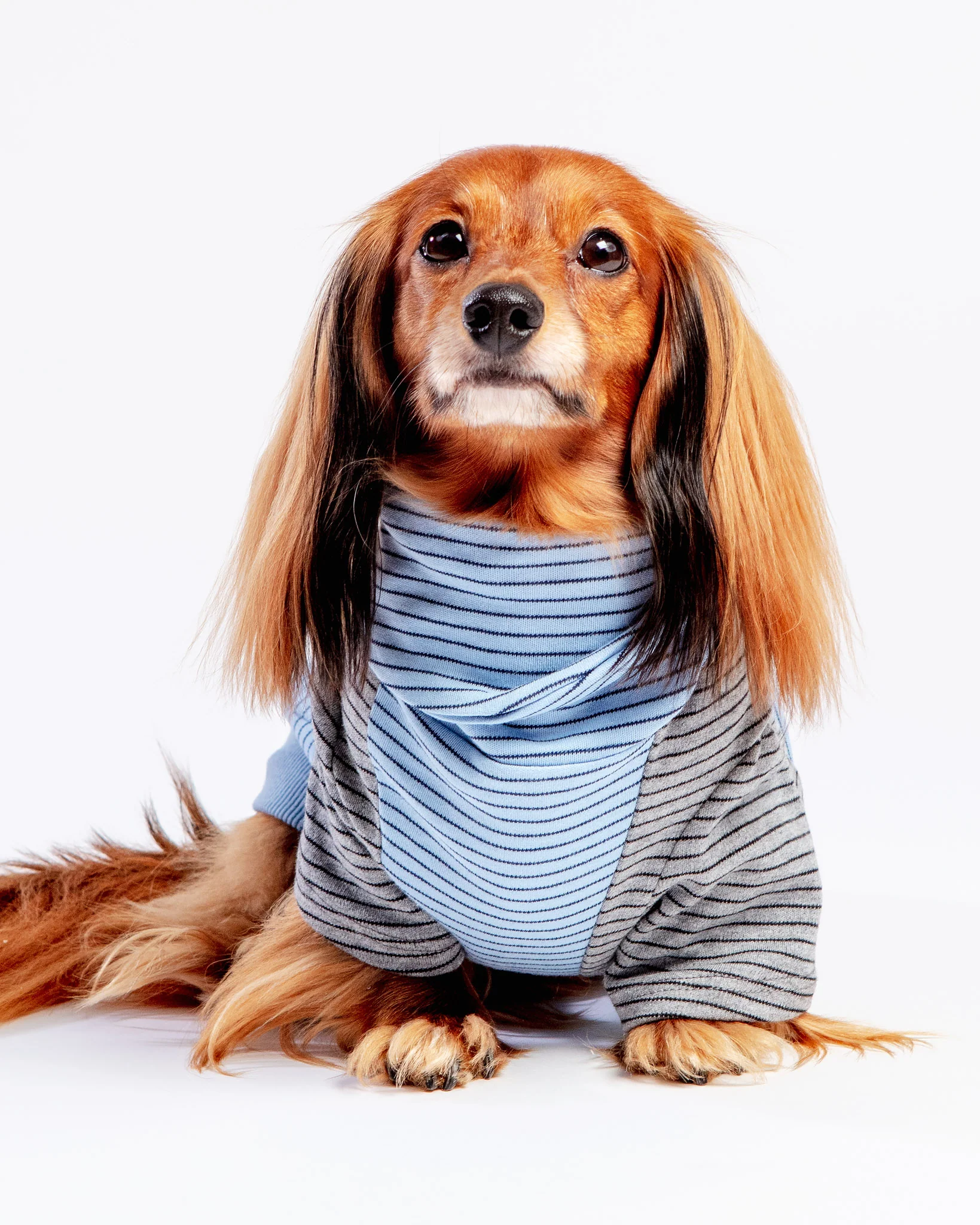 The Marlin Organic Cotton T-Shirt for Long Dogs (Made in the USA) << FINAL SALE >>