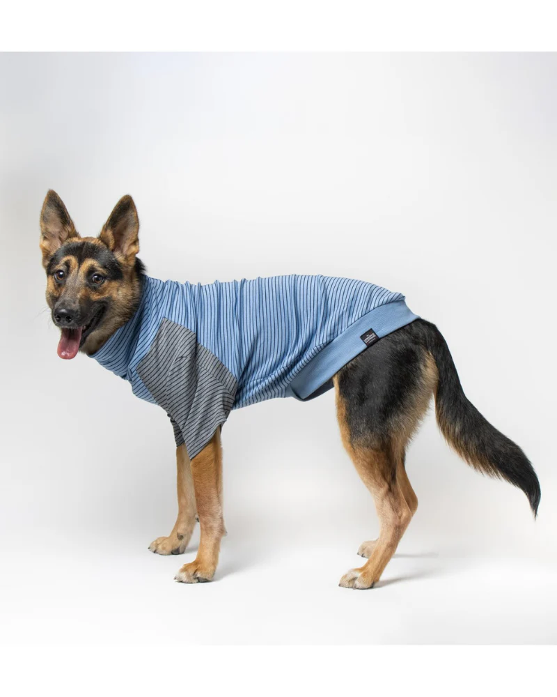 The Marlin Organic Cotton T-Shirt for Long Dogs (Made in the USA) << FINAL SALE >> - Image 3