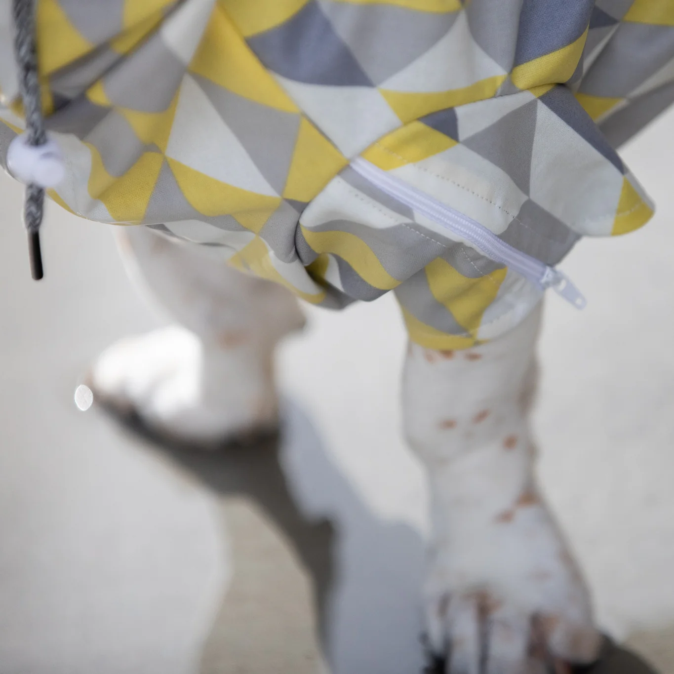LONG DOG CLOTHING | The Metric Raincoat - Image 4