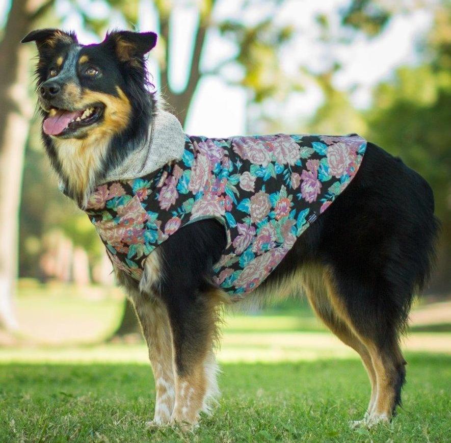 LONG DOG CLOTHING | The Savannah Hoodie - Image 3