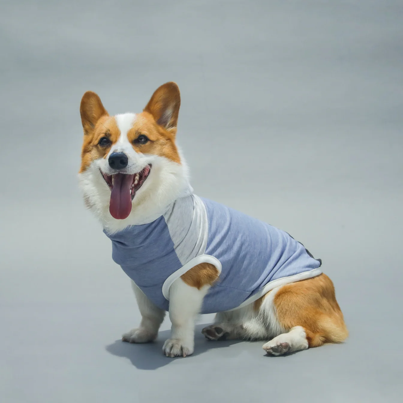LONG DOG CLOTHING | The Skater