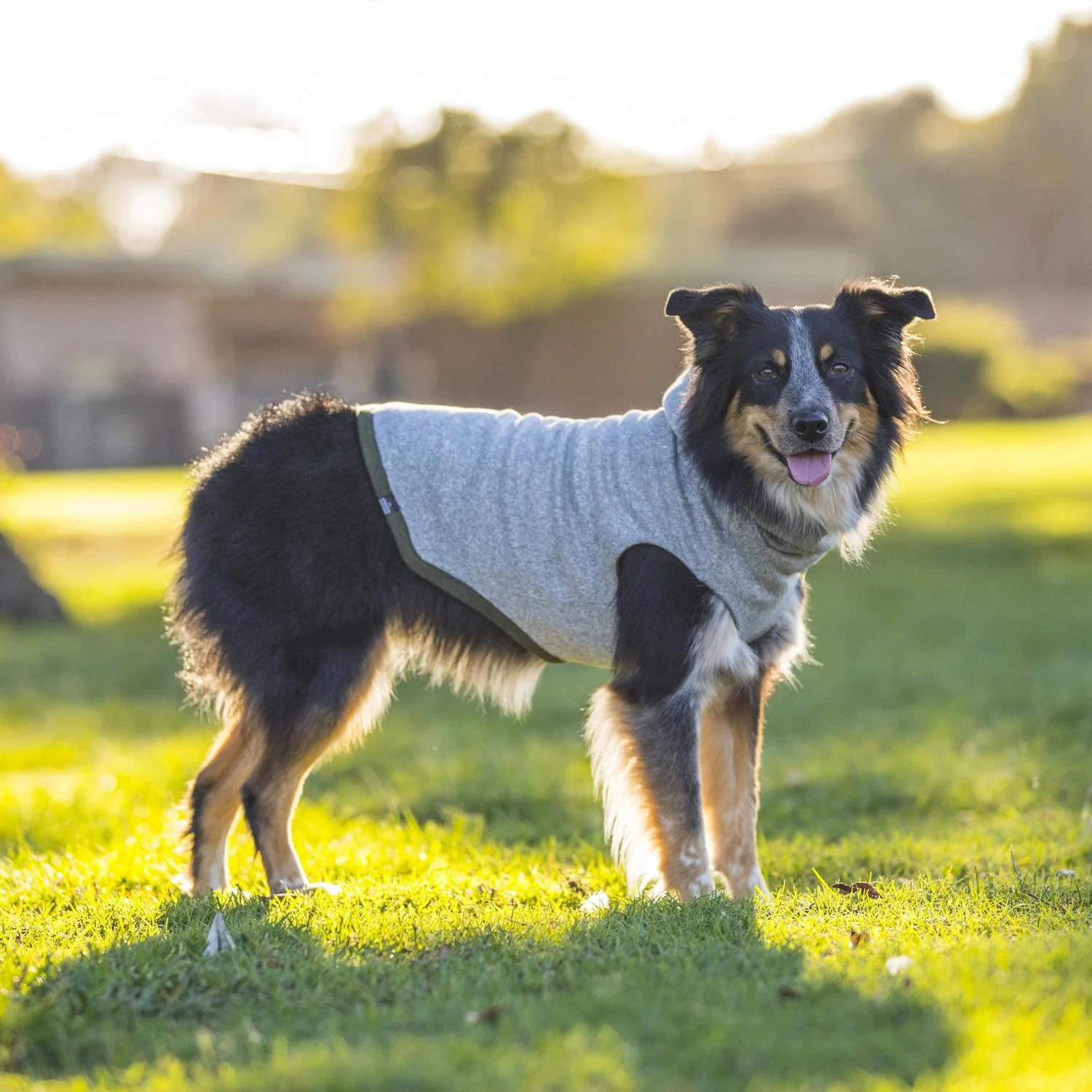 LONG DOG CLOTHING | The Yosemite - Image 2