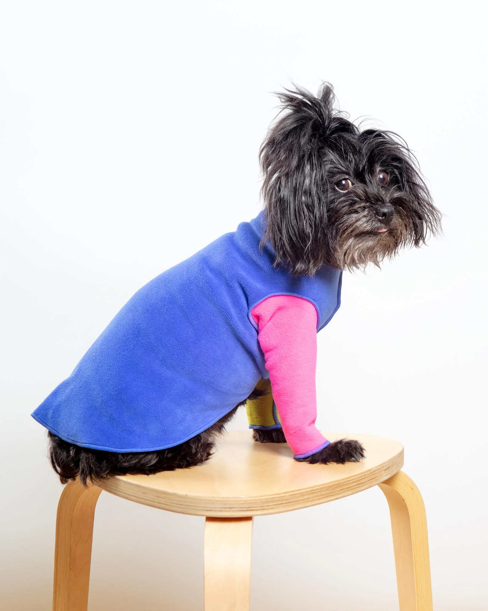Long-Sleeve Stretch Fleece in Crazy for the 80s (Made in the USA) (DOG & CO. + GOLD PAW Exclusive!) - Image 2