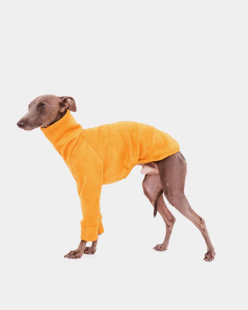 Long Sleeve Dog Turtleneck in Yellow (FINAL SALE) - Image 3