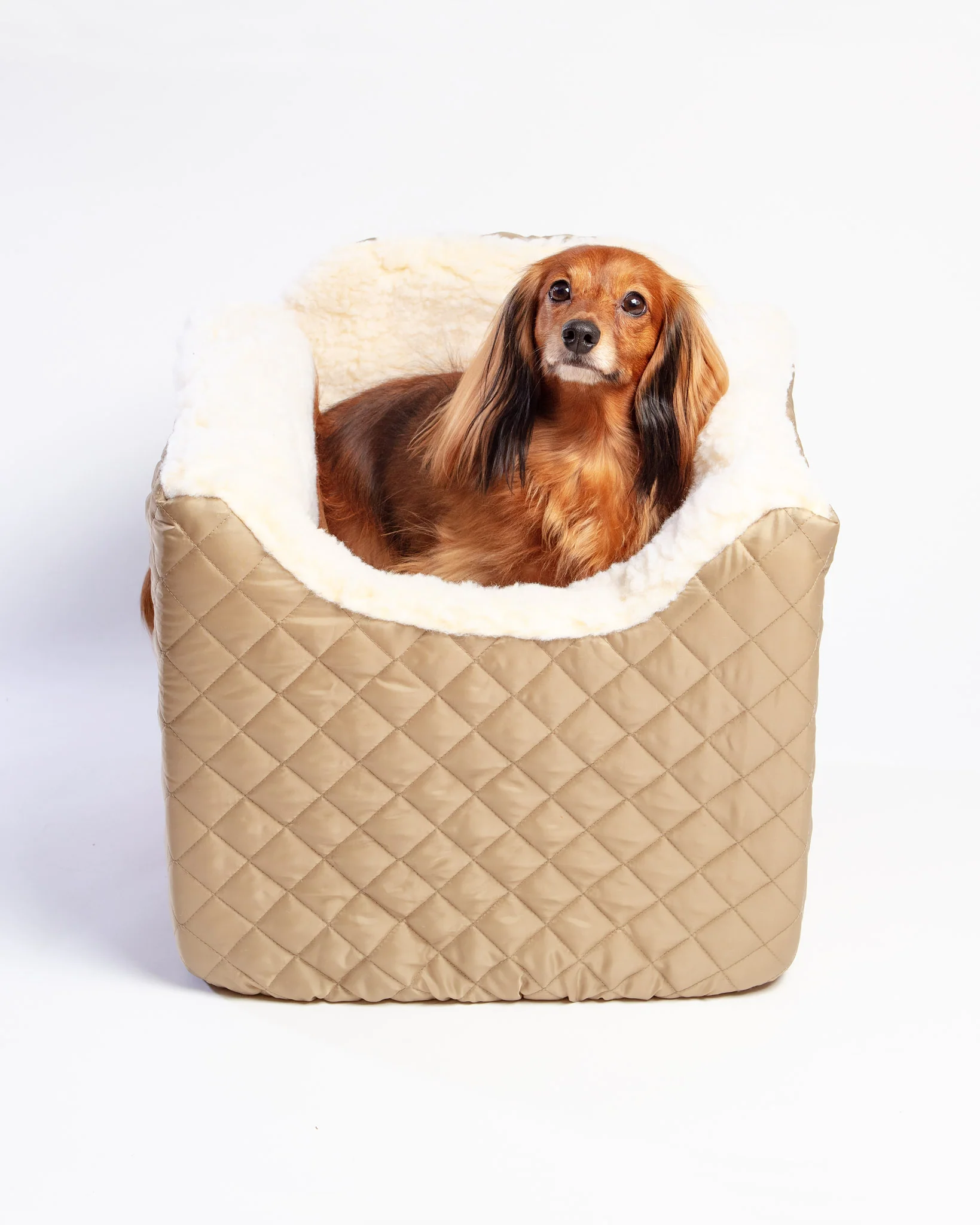 Lookout Dog Car Seat (Made in the USA) (Direct-Ship) - Image 4