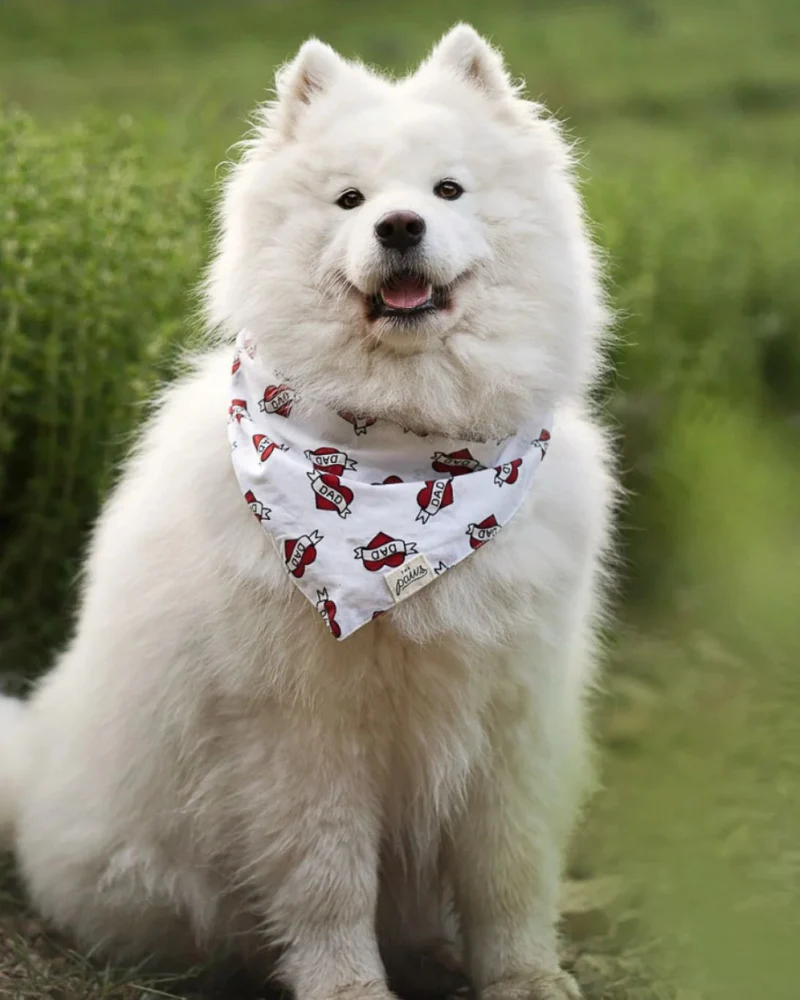 Love DAD Dog Bandana