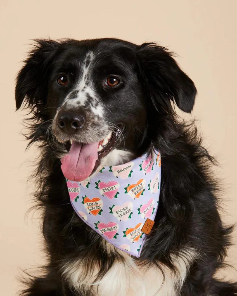 Love Language Dog Bandana (FINAL SALE) - Image 2