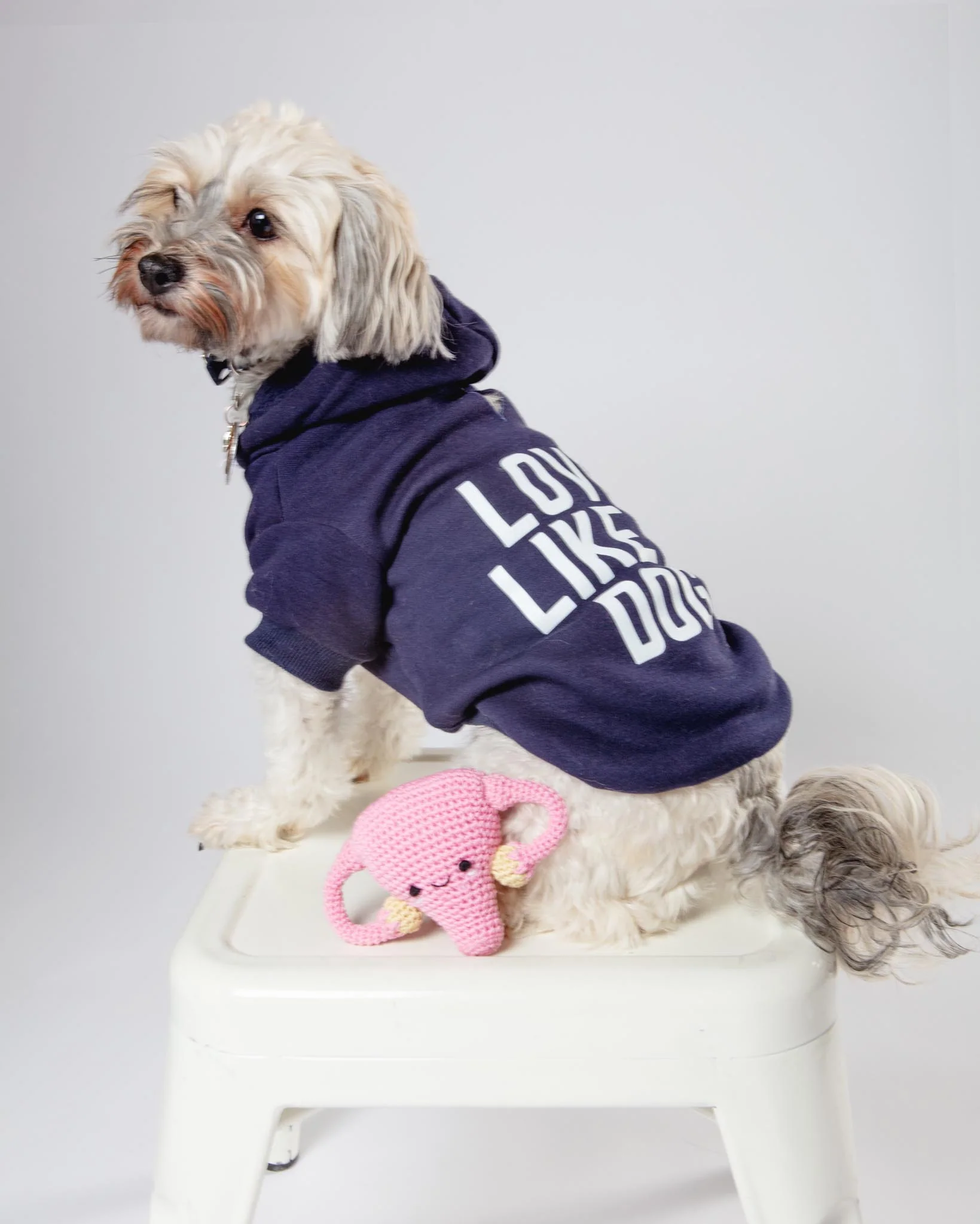 *Love Like a Dog* Graphic Hoodie (Proceeds Benefit the ACLU) - Image 2