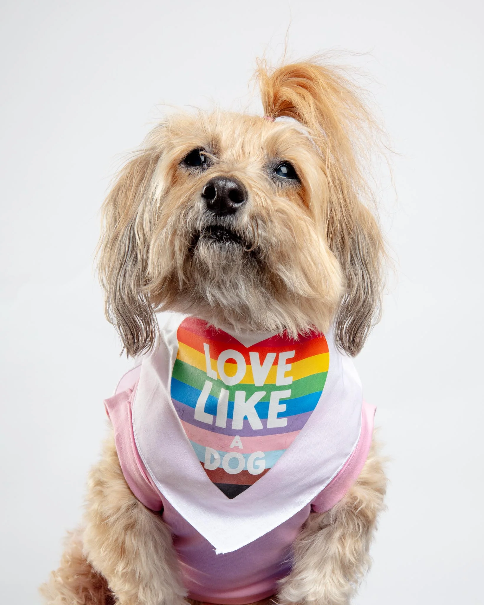 Love Like a Dog Pride Bandana